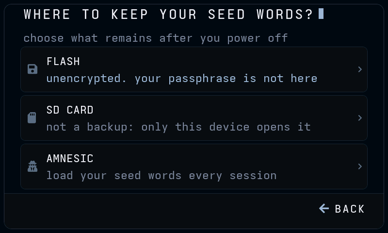 The setup screen headed WHERE TO KEEP YOUR SEED WORDS, offering FLASH, SD CARD and AMNESIC, under the line choose what remains after you power off